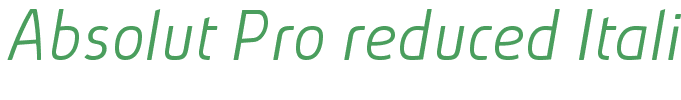 Absolut Pro reduced Italic[2]
